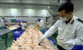 Tăng cường kiểm soát an toàn thực phẩm dịp Tết