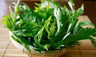Sai lầm khi ăn ngải cứu có thể dẫn đến ngộ độc, động kinh,... biết mà tránh xa kẻo 'hối không kịp'