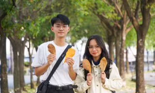 Lộc vừng thay lá, nhuộm vàng mùa thu Sài Gòn
