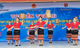 Ảnh minh họa