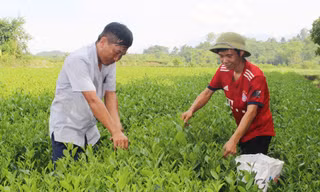 Nâng cao năng lực cho cán bộ làm công tác giảm nghèo