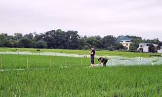 Bộ TN-MT yêu cầu Thái Nguyên báo cáo việc đất chưa ‘sạch’ đã bán đấu giá