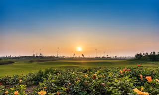 Sân golf tại quần thể nghỉ dưỡng FLC Sầm Sơn (Thanh Hoá).