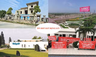 Dự án cũ thổi giá 'dựng ngược', tuổi xây nhà năm Tân Sửu 2021 đẹp nhất?