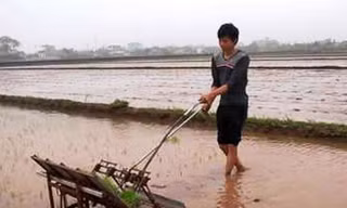Máy cấy lúa chạy bằng điện
