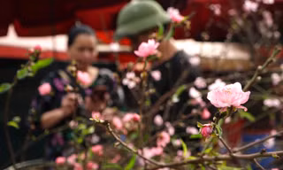 Đào Nhật Tân xuống phố