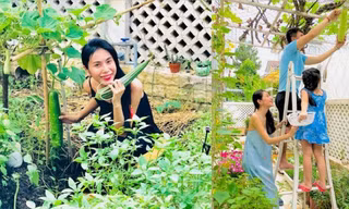 Khu vườn đủ thứ rau quả sạch trong biệt thự của Công Vinh - Thủy Tiên