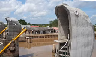 Cống thủy lợi hình cá heo