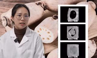 Thực hư chuyện các "pháp sư Trung Hoa" dùng củ sen tái tạo cơ thể như Na Tra