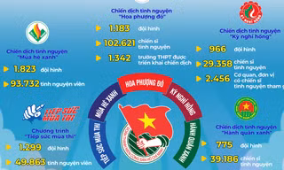 Infographic kết quả tuần 1: Chiến dịch Thanh niên tình nguyện Hè 2024