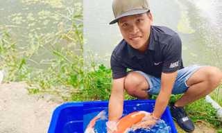 Chàng trai 9X Hải Phòng bỏ việc lương cao để nuôi cá Koi, kiếm tiền tỷ