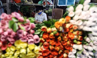 Tấp nập chợ hoa đêm Quảng Bá ngày 8/3