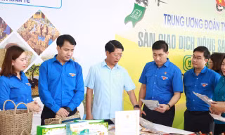Tuổi trẻ cả nước chung tay xây dựng nông thôn mới