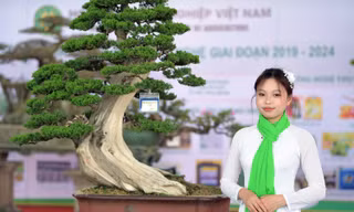 Học viện Nông nghiệp Việt Nam đưa hoa cây cảnh lên sàn đấu giá điện tử