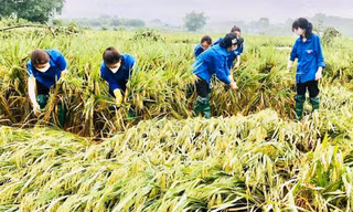 Tuyên Quang: Hàng trăm 'áo xanh' hỗ trợ người dân khắc phục hậu quả sau bão lũ