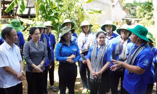 'Chiến dịch Thanh niên tình nguyện Hè 2026' sẽ diễn ra với nhiều hoạt động an sinh, hỗ trợ thanh thiếu nhi