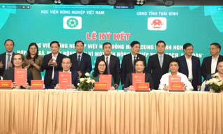 Học viện Nông nghiệp Việt Nam hợp tác đào tạo nguồn nhân lực với 4 tỉnh Đồng bằng sông Hồng