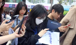 Nhiều cơ hội việc làm cho cử nhân, sinh viên ULIS
