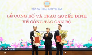 Bổ nhiệm Chánh Văn phòng Tòa án nhân dân Tối cao