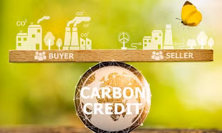 Sẽ có hai loại hàng hóa được giao dịch trên thị trường carbon