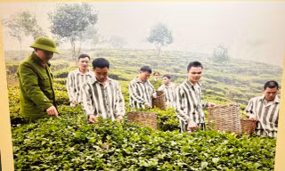 Những khó khăn, thách thức và giải pháp trong công tác trại giam tại Việt Nam 