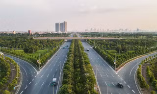 Vụ 'thổi giá cây xanh' Hà Nội: Đường đi của cây trồng nhập lậu từ Trung Quốc