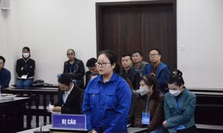 Xét xử nhóm đối tượng làm giả hồ sơ mở thẻ tín dụng, chiếm đoạt tiền của ba ngân hàng 