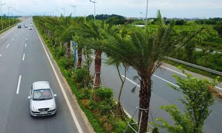 Nhiều cán bộ của Hà Nội bị đề nghị xử lý trong vụ 'thổi giá cây xanh' 