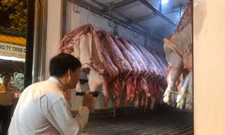 TPHCM tăng cường kiểm tra, quyết không để dịch tả heo châu Phi vào Thành phố