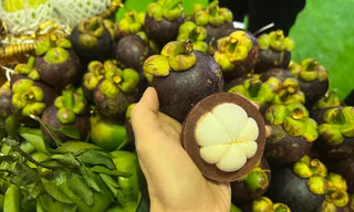 Hiện tượng lạ: Măng cụt rớt giá đầu vụ