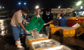 Chợ đầu mối Bình Điền mở cửa trở lại dưới hình thức trạm trung chuyển