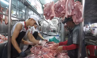 Chỉ trong vòng 1 tuần, heo hơi đã tăng giá "10", tức 10.000 đồng/kg