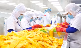 Vật vã trong ‘nắng hạn’ lâu năm, doanh nghiệp Việt vừa gặp được ‘mưa rào'