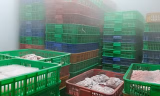Hàng tấn thịt gia súc, gia cầm không rõ nguồn gốc