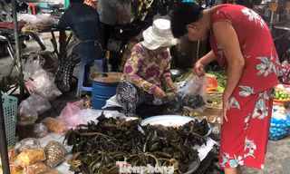 Sau dịch COVID-19, nhiều người đến chợ mua sắm trong ngày tết Đoan Ngọ mùng 5 tháng 5