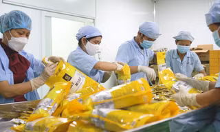TPHCM thưởng Tết cao nhất hơn 2,7 tỷ đồng