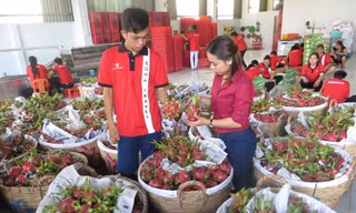 Thương chiến Mỹ - Trung không tạo ra nhiều cơ hội cho các ngành hàng xuất khẩu của Việt Nam