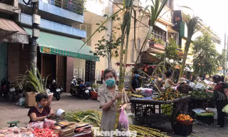 Người dân mua mía với ý nghĩa bác thang cho ông Táo lên trời
