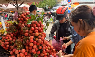 Giật mình với giá vải thiều ở TPHCM