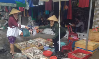 Thủy hải sản tươi sống đắt hàng sau tết