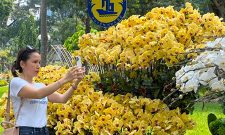 Đi chơi lễ, người dân 'tậu' được hoa lan đẹp, giá rẻ bất ngờ