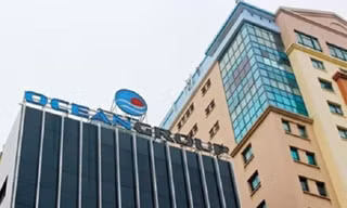 OceanGroup đã có tờ trình xem xét bãi nhiệm ông Hà Trọng Nam, anh trai ông Hà Văn Thắm
