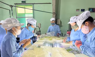 'Vua nha đam' Việt muốn mở rộng thị phần xuất khẩu Mỹ
