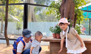 Đổ xô vào Thảo Cầm Viên chơi với capybara