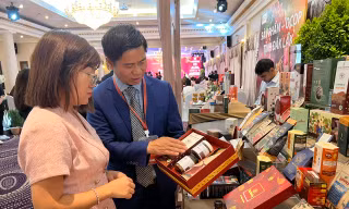 Giá cà phê tăng vọt, nông dân thu nhập cao chót vót 