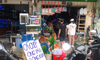 Mới lạ cá chép ‘2 ông 1 bà’ tiễn Táo quân về trời