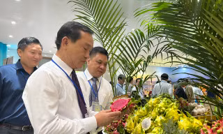 TPHCM sẽ làm cầu nối tiêu thụ đặc sản cả nước