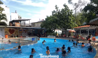 Hồ bơi ngày hè hấp dẫn trẻ em, người lớn