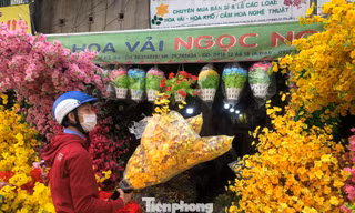 Tuyến đường Hải Thượng Lãn Ông rộn ràng những ngày trước tết