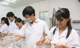 Những ngành học được miễn, giảm học phí